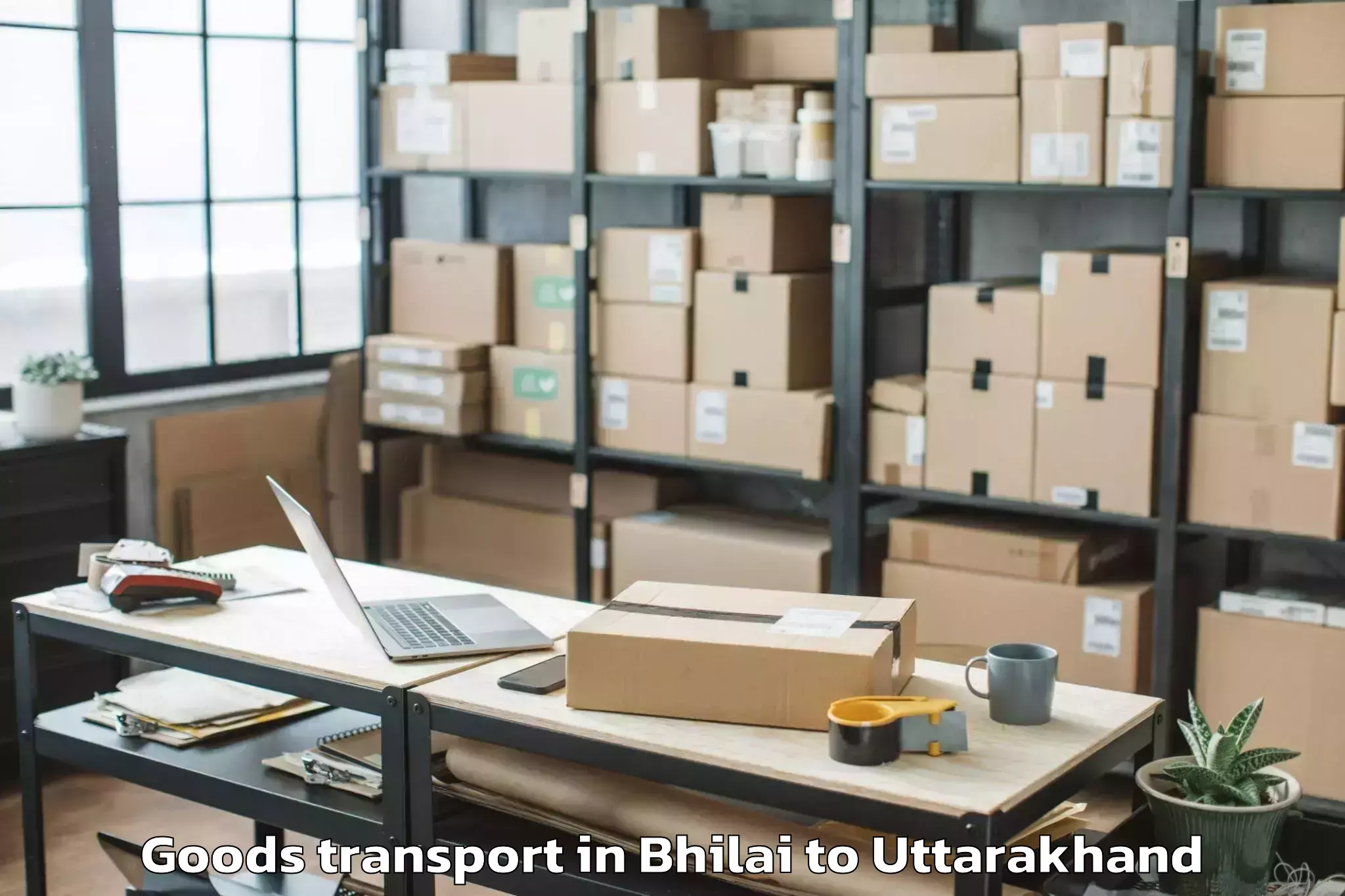 Reliable Bhilai to Banbasa Goods Transport